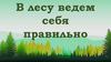 Правила поведения в лесу