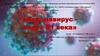 Коронавирус вирус 21 века