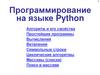 Программирование на языке Python