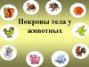 Покровы тела у животных. Эволюция покровов тела