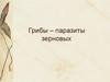 Грибы - паразиты зерновых