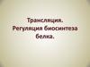 Трансляция. Регуляция биосинтеза белка