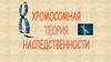 Хромосомная теория наследственности