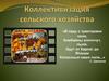 Коллективизация сельского хозяйства