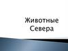 Животные Севера