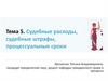 Судебные расходы, судебные штрафы, процессуальные сроки. Тема 5