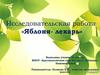 Яблоня-лекарь. Исследовательская работа