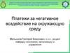 Платежи за негативное воздействие на окружающую среду