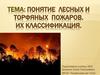Понятие лесных и торфяных пожаров. Их классификация