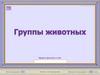 Игра "Группы животных"