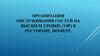 Организация обслуживания гостей на высшем уровне (vip) в ресторане, номере