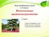 Вечнозеленые цветочные растения. Урок профильного труда в 9 классе