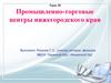 Промышленно-торговые центры Нижегородского края. Урок 18