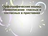 Орфографические нормы. Правописание гласных и согласных в приставках