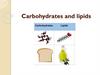 Carbohydrates and lipids