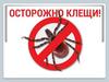 Осторожно! Клещи