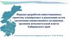 Порядок разработки инвестиционных проектов, планируемых к реализации путем заключения концессионного соглашения, органами власти