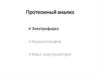 Протеомный анализ. Электрофорез. Хроматография. Масс-спектрометрия