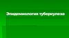 Эпидемиология туберкулеза