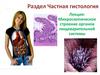 Микроскопическое строение органов пищеварительной системы