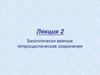 Биологически важные гетероциклические соединения. Лекция 2