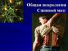 Общая неврология. Спинной мозг