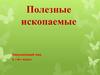 Полезные ископаемые. Окружающий мир 3 «А» класс