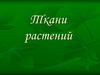 Ткани растений