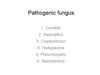 Pathogenic fungus