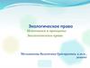 Экологическое право. Источники и принципы. Экологического права