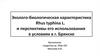 Эколого-биологическая характеристика Phus tuphina L. и перспективы его использования в условиях в г. Брянске