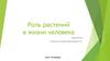 Роль растений в жизни человека