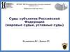 Суды субъектов Российской Федерации (мировые судьи, уставные суды)