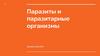 Паразиты и паразитарные организмы