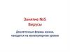 Вирусы. Этапы жизнедеятельности вируса  (занятие № 5)