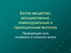 Белое вещество: ассоциативные, комиссуральные и проекционные волокна