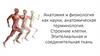 Анатомия и физиология как науки, анатомическая терминология. Строение клетки. Эпителиальная и соединительная ткань