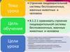 Строение пищеварительной системы беспозвоночных, жвачных животных и человека