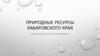 Природные ресурсы Хабаровского края