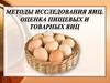 Методы исследования яиц. Оценка пищевых и товарных яиц