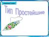 Тип Простейшие. Зоология. 7 класс