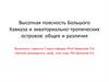 Высотная поясность Большого Кавказа и экваториально-тропических островов: общее и различия