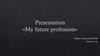 My future profession