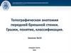 Топографическая анатомия передней брюшной стенки. Грыжи, понятие, классификация  (тема № 10)