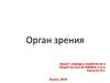 Орган зрения. Глазное яблоко