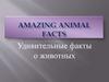 Amazing animal facts. Удивительные факты о животных