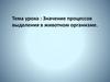 Значение процессов выделения в животном организме