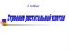 Строение растительной клетки. 6 класс