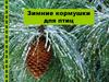 Зимние кормушки для птиц