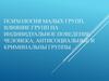 Психология малых групп, влияние групп на индивидуальное поведение человека, антисоциальные и криминальны группы